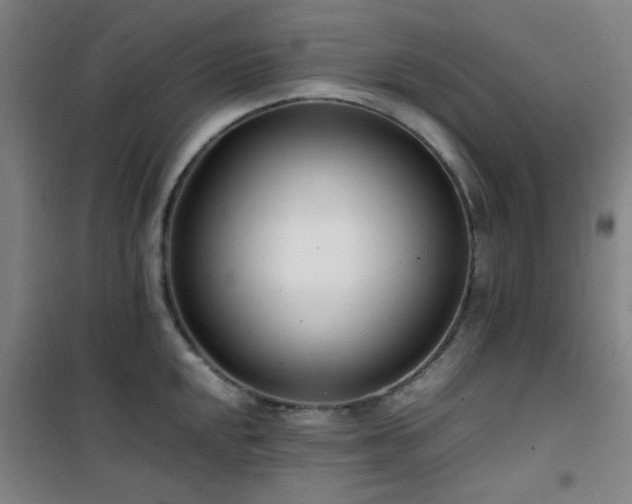 X0000101661048200807101249