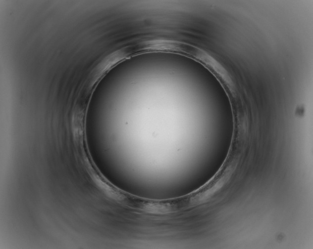 X0000101661049200807101250