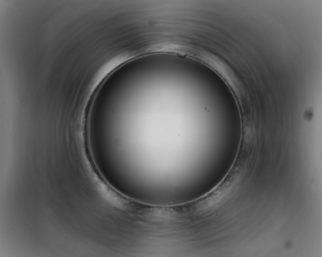 X0000101661050200807101250