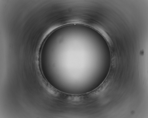 X0000101661051200807101250