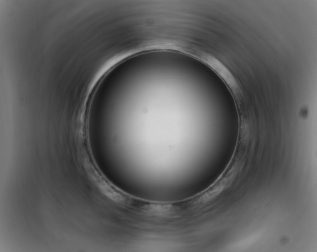 X0000101661052200807101250