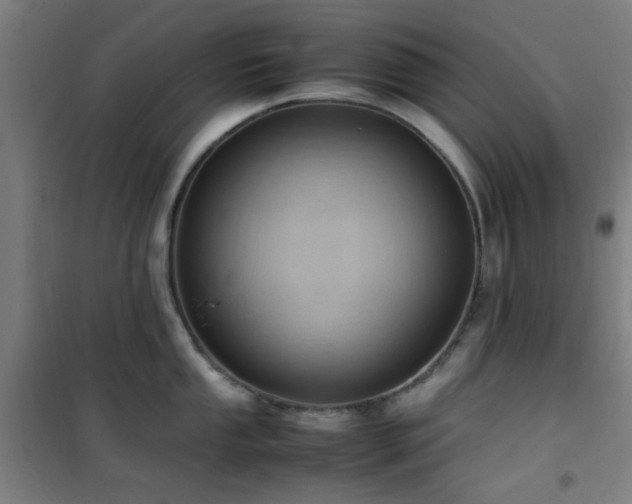 X0000101661053200807101250