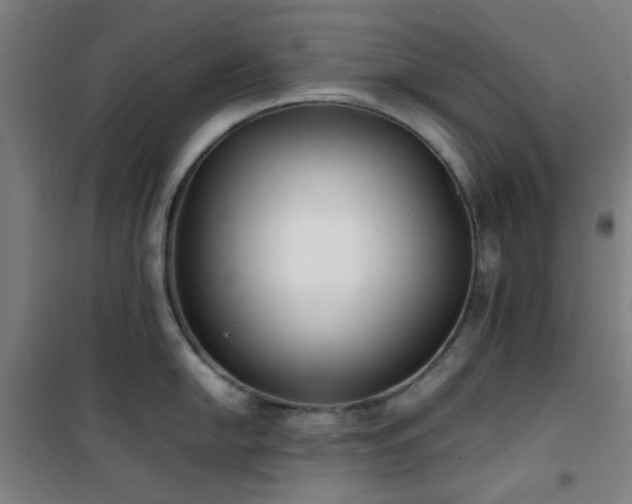 X0000101661054200807101250