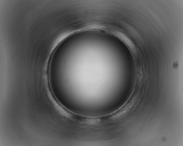 X0000101661055200807101250