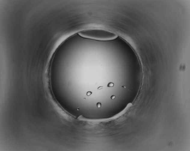 X0000101661056200807101250