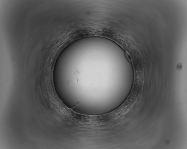 X0000101661057200807101249