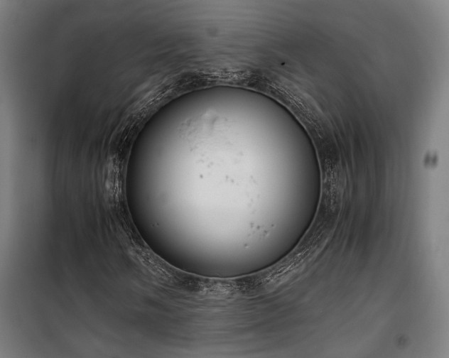 X0000101661058200807101249