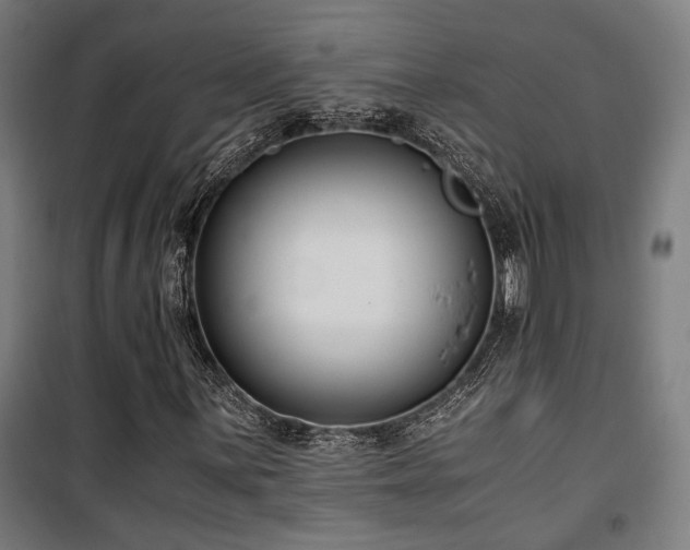 X0000101661059200807101249