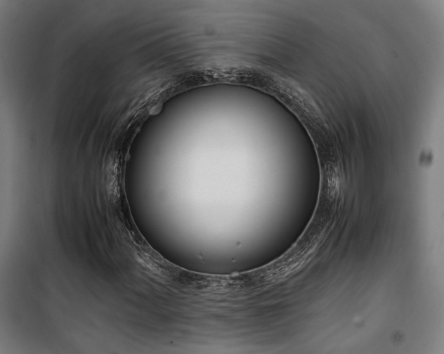 X0000101661060200807101249