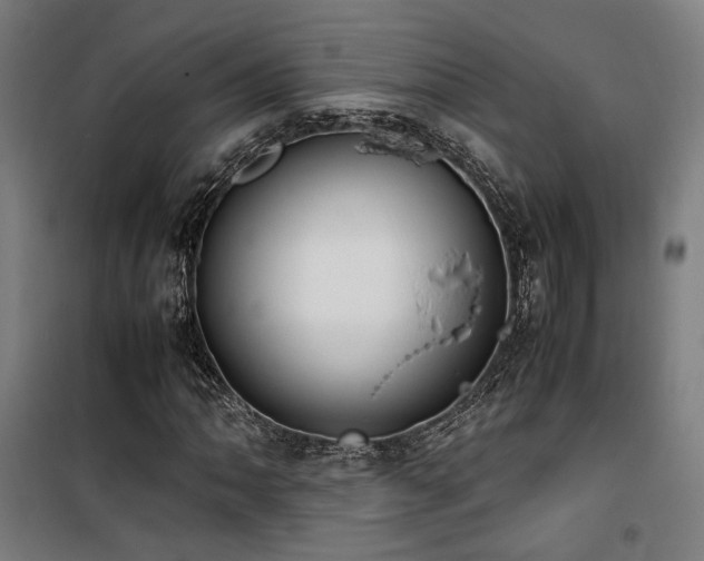 X0000101661062200807101249