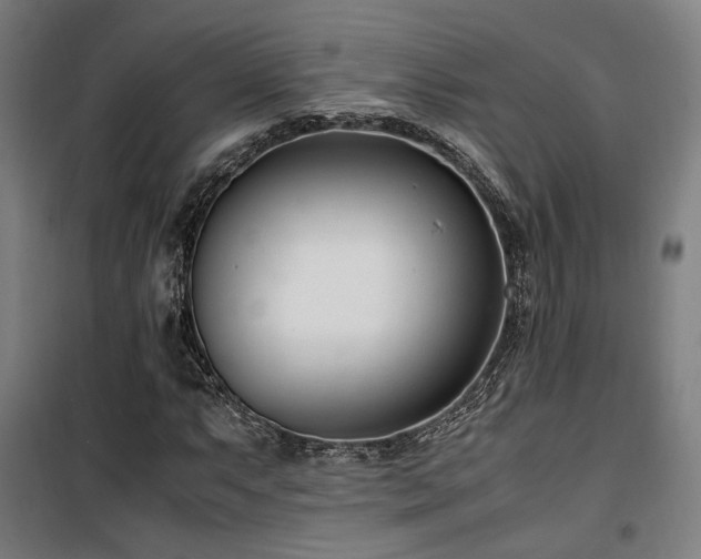 X0000101661063200807101249