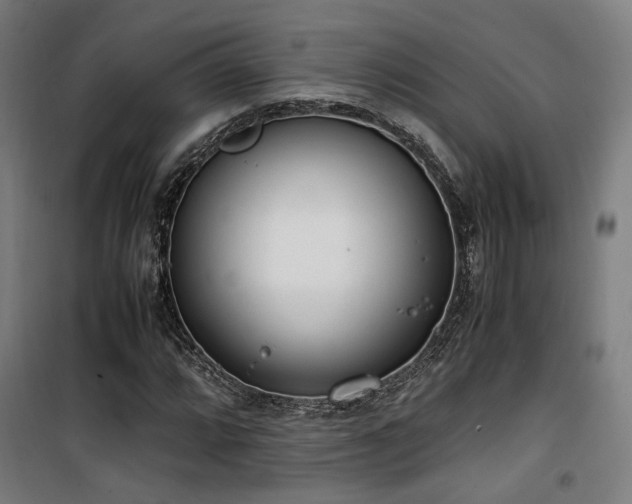 X0000101661064200807101249