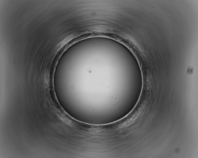 X0000101661065200807101249