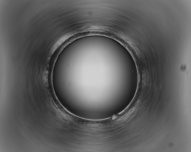 X0000101661066200807101249