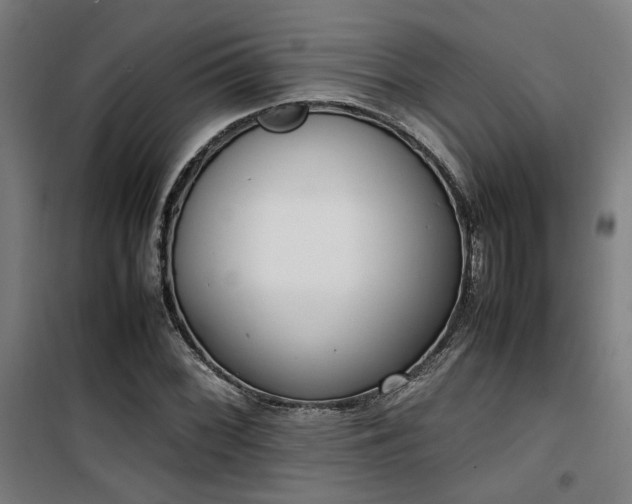 X0000101661068200807101249