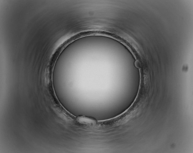 X0000101661069200807101249