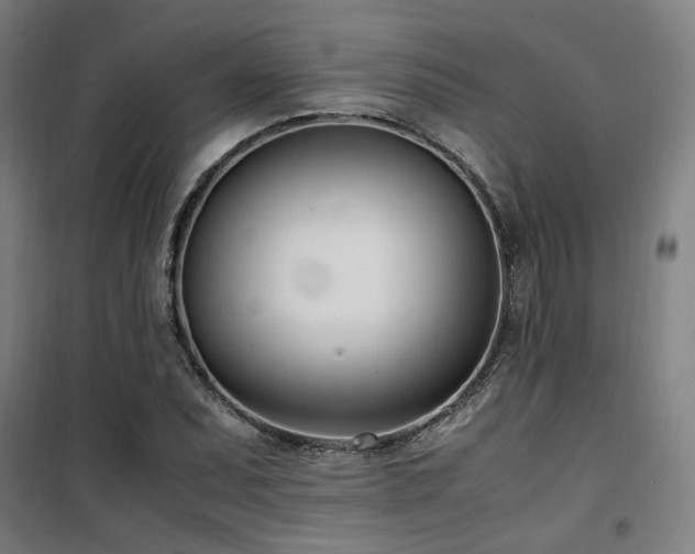X0000101661071200807101249