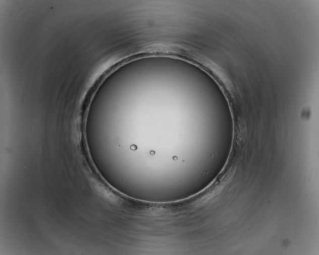 X0000101661075200807101249