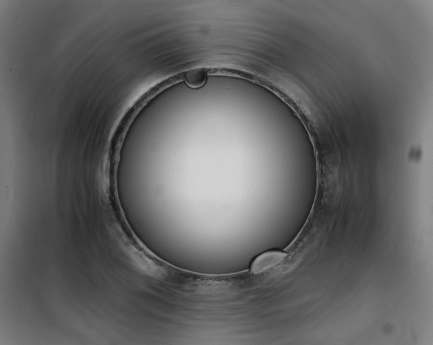 X0000101661076200807101249