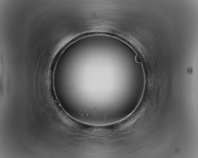 X0000101661077200807101249