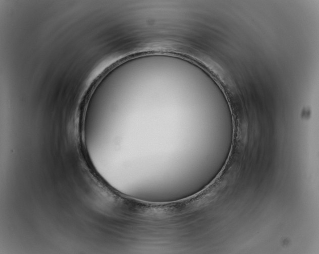 X0000101661078200807101249