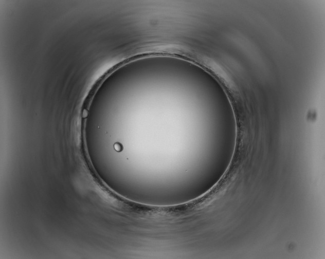 X0000101661079200807101249
