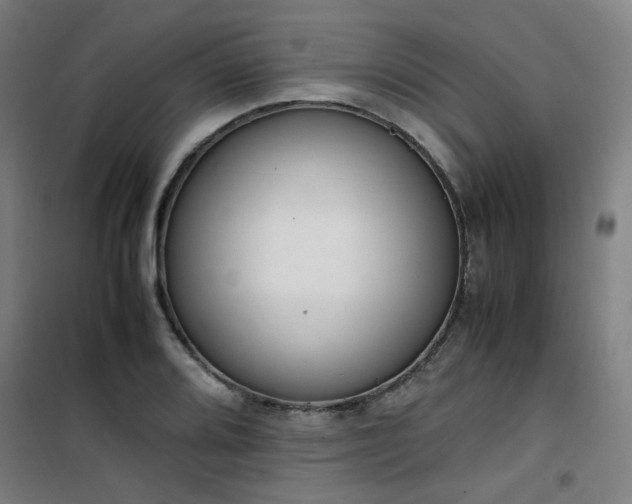 X0000101661080200807101249