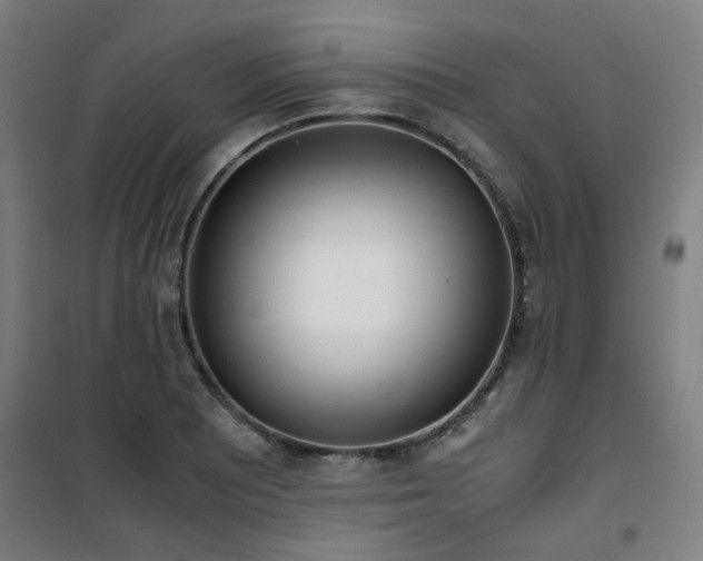 X0000101661081200807101249