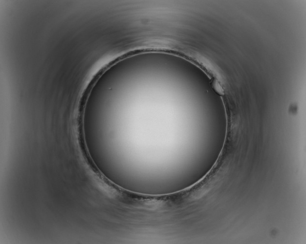 X0000101661085200807101249