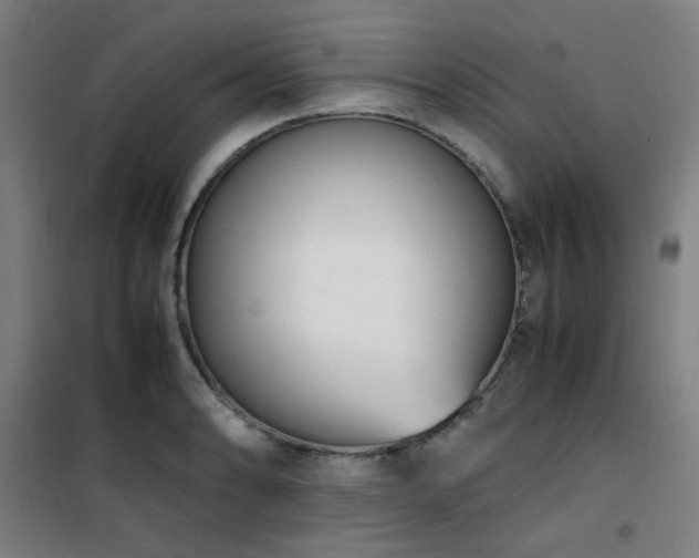 X0000101661086200807101249