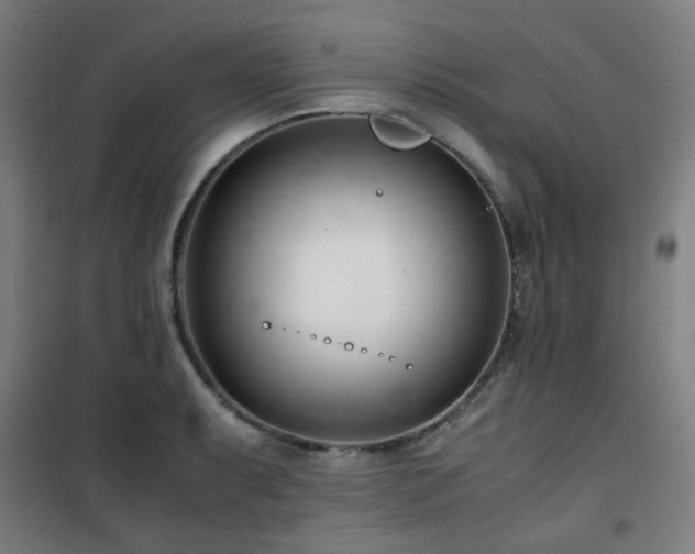 X0000101661087200807101249