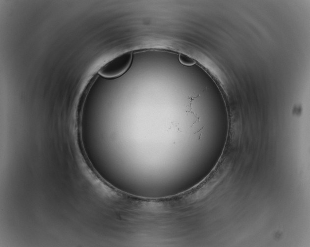X0000101661088200807101249