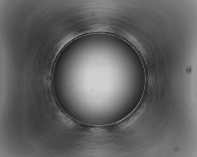 X0000101661089200807101248