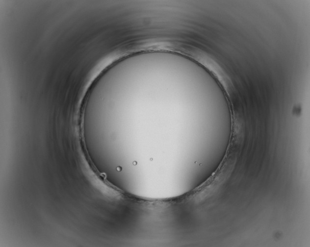 X0000101661090200807101248