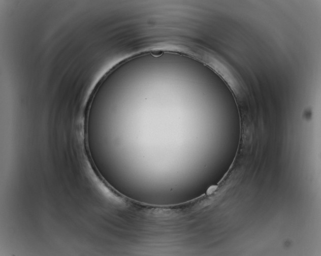 X0000101661092200807101248