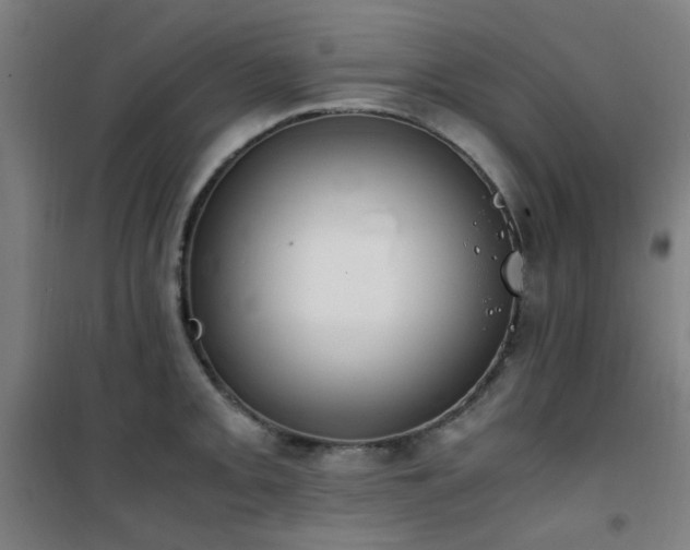 X0000101661093200807101248