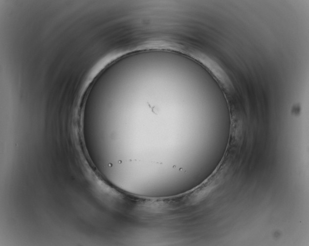 X0000101661094200807101248