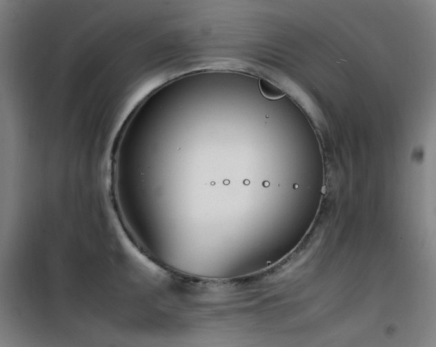 X0000101661095200807101248