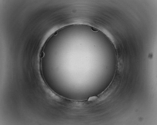 X0000101661096200807101248