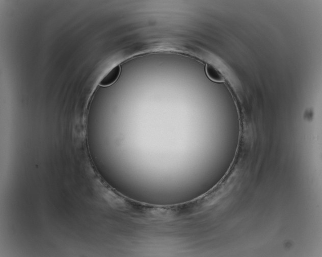 X0000101661097200807101248