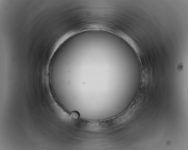 X0000101661098200807101248