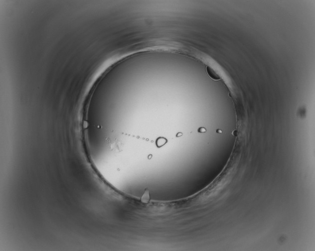 X0000101661099200807101248