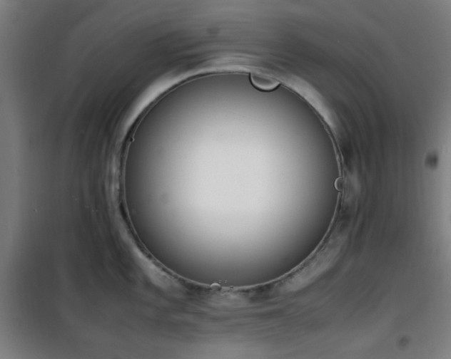 X0000101661101200807101248