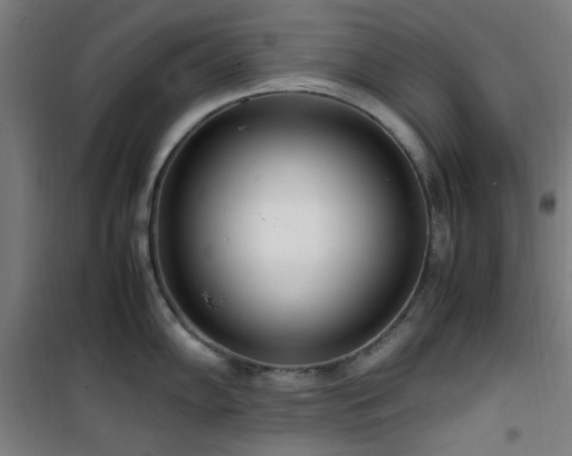 X0000101661102200807101248