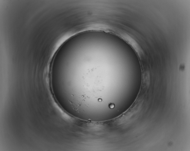 X0000101661103200807101248