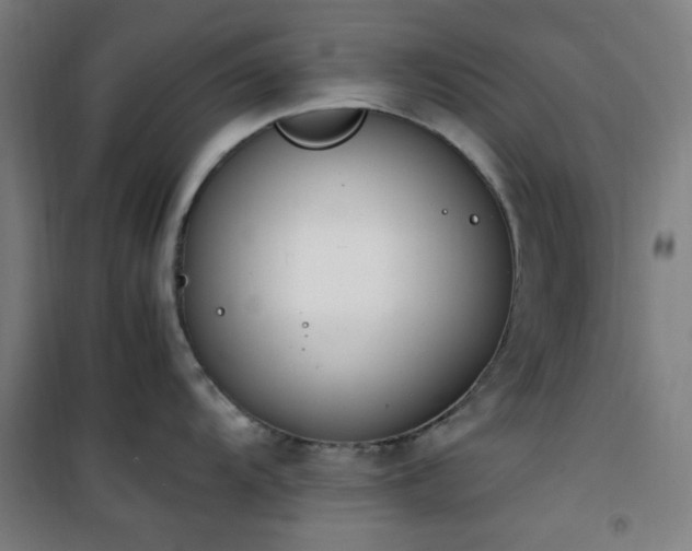 X0000101661104200807101248