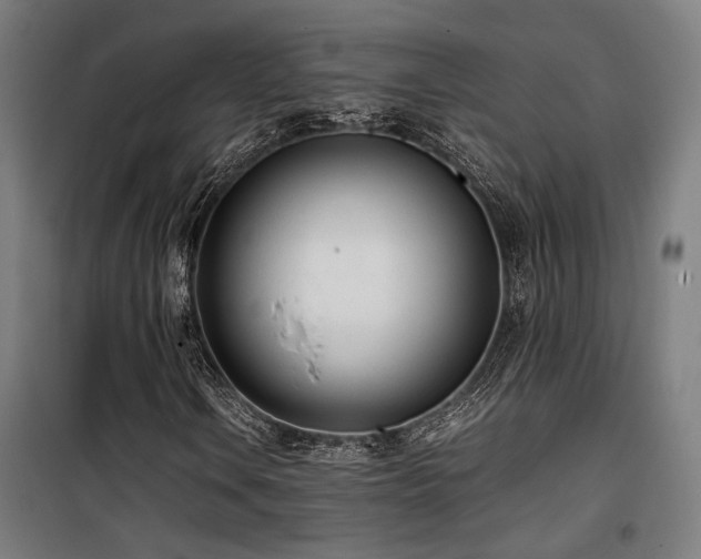 X0000101661106200807101248