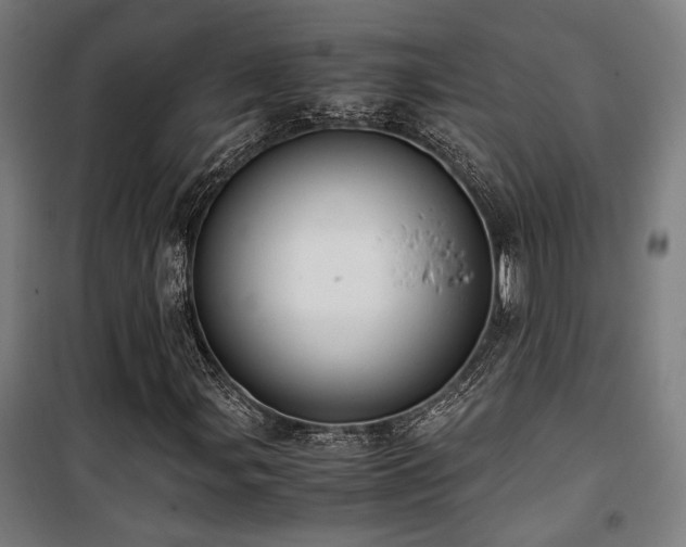 X0000101661107200807101248