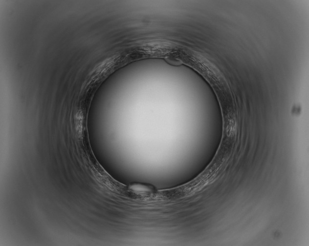 X0000101661108200807101248