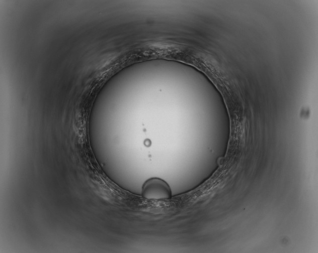 X0000101661109200807101248